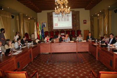 Un momento de la sesion celebrada hoy por el Consejo Social