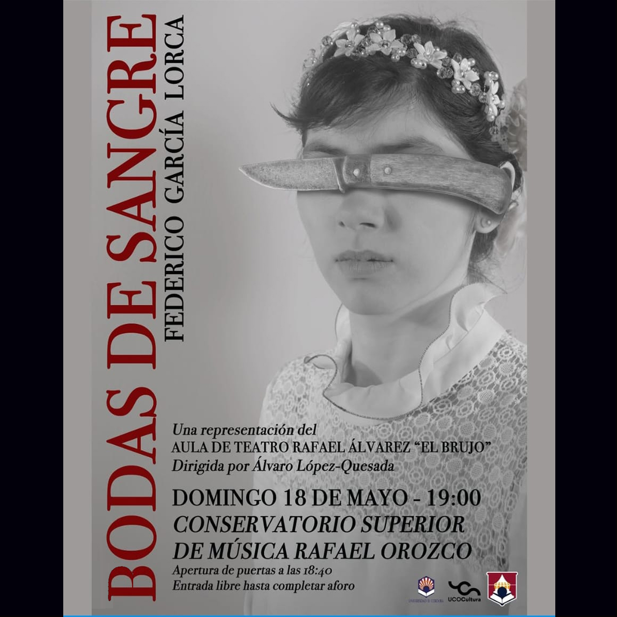 Bodas de sangre