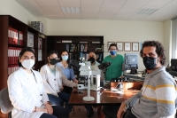 VÍDEO | La UCO estudia el sistema inmune del cerdo frente a uno de los virus más peligrosos para el sector