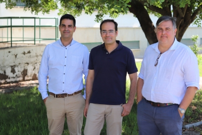 A model is developed to reduce water leaks in distribution networks based on pressure change data
