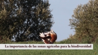 Imagen del documental