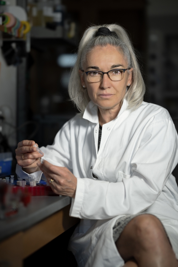 La investigadora Eva Nogales