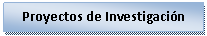 Cuadro de texto: Proyectos de Investigación