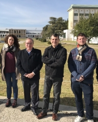 De izquierda a derecha de la imagen, Dolores Esquivel, Csar Jimnez, Jos Rafael Ruiz y Daniel Cosano, del Departamento de Qumica Orgnica de la UCO y autores del estudio.