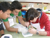 Escolares desarrollando una actividad de cristalización 
