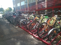 Numerosas bicis aparcadas en la Facultad de Ciencias de la Educacin. En primer trmino, bicicletas de A la UCO en Bici.
