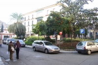 Plaza Ramn y Cajal en Crdoba