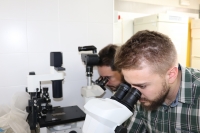 Dos de los autores del artculo analizando una muestra en el laboratorio.