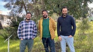 New model of forest resilience against wildfires defined
