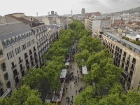 Imagen aérea de las Ramblas. Ajuntament de Barcelona. Direcció de Serveis de Comunicació Digital