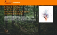 Un curso explica cómo medir, analizar y comprender los bosques en la era digital