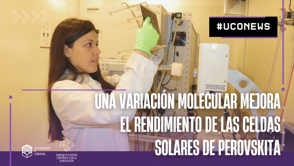 La investigadora Susana Ramos-Terrón