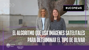 VÍDEO | Un nuevo algoritmo usa imágenes satelitales para determinar el tipo de olivar sin visitas a campo
