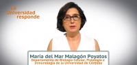 La catedrática María del Mar Malagón durante su intervención en &#039;La Universidad Responde&#039; de La 2