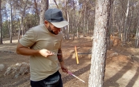 El investigador de la UCO Antonio Cachinero Vivar tomando muestras en un pino